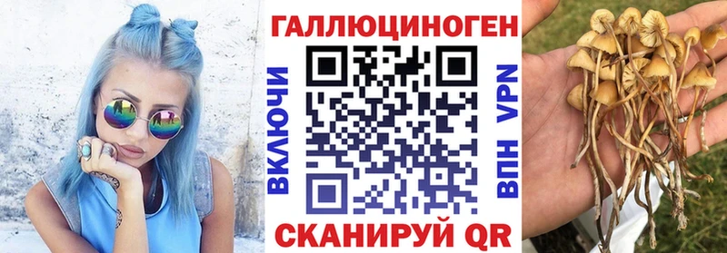 Галлюциногенные грибы MAGIC MUSHROOMS  Алзамай 